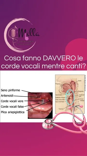 Video di MILLA su Instagram